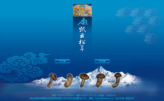 凱云科工貿與奧遠科技 以技術驅動，賦能昆明與云南的數字化轉型